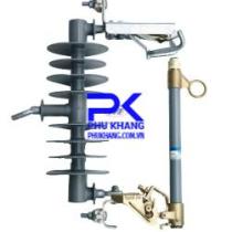 FCO 24kV