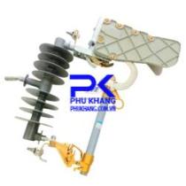 LBFCO 24kV Polymer